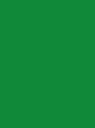 718MADEIRA Polyneon Green 5000m 6988
